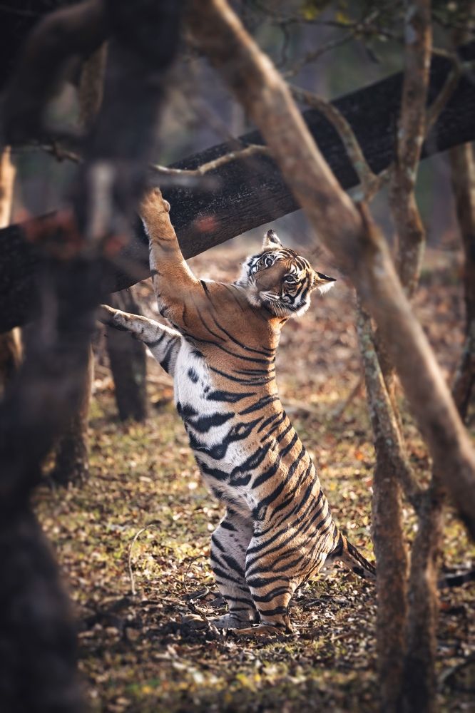 Photograph by Merche Llobera