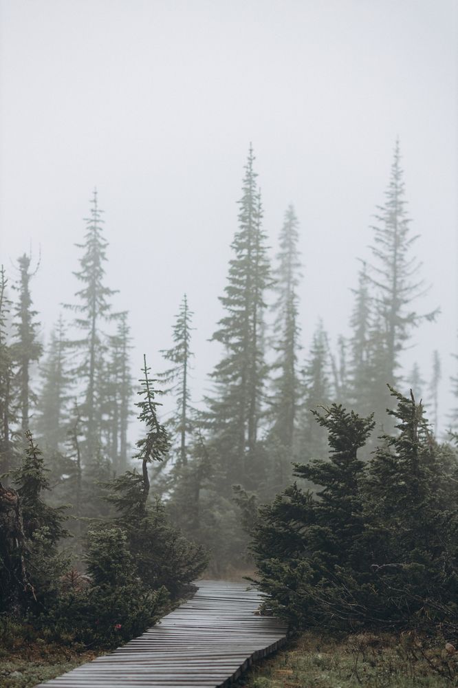 Фотография автора Анна Рыжкова