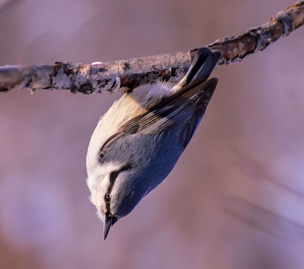 Акробатический трюк