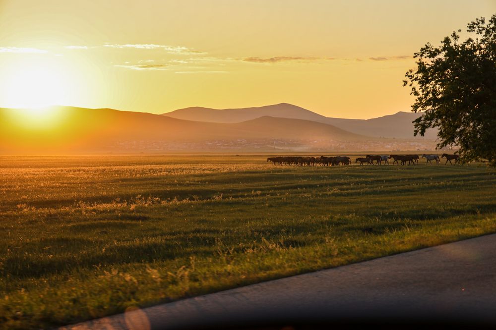 Photograph by Дарья Целуйко