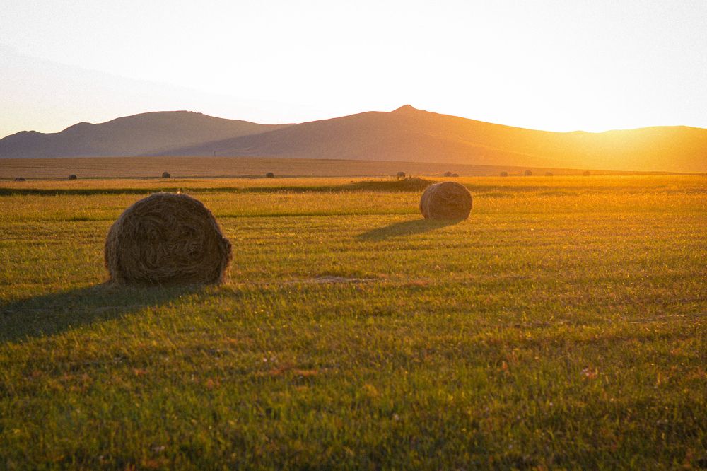Photograph by Дарья Целуйко