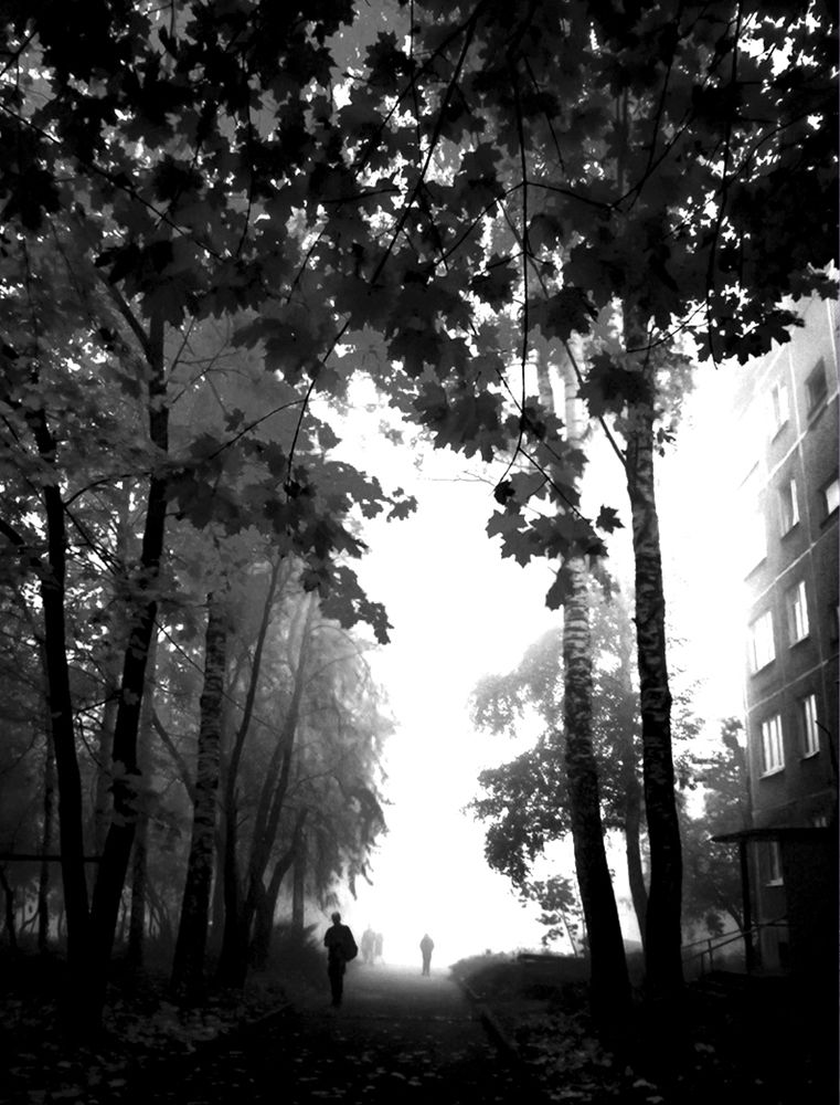 Photograph by Любовь Бусова