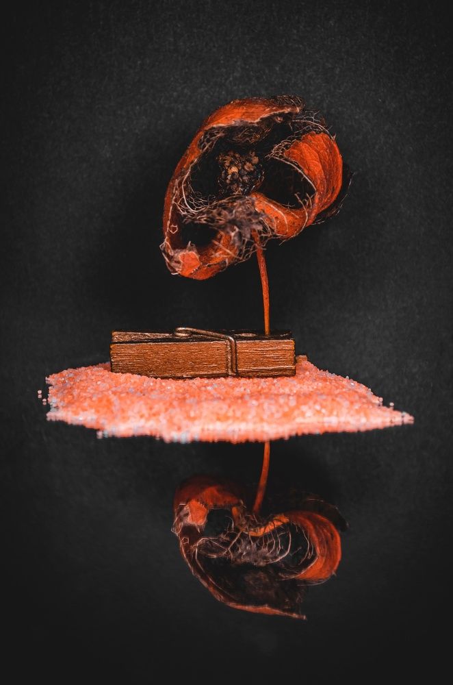 Photograph by Любовь Бусова