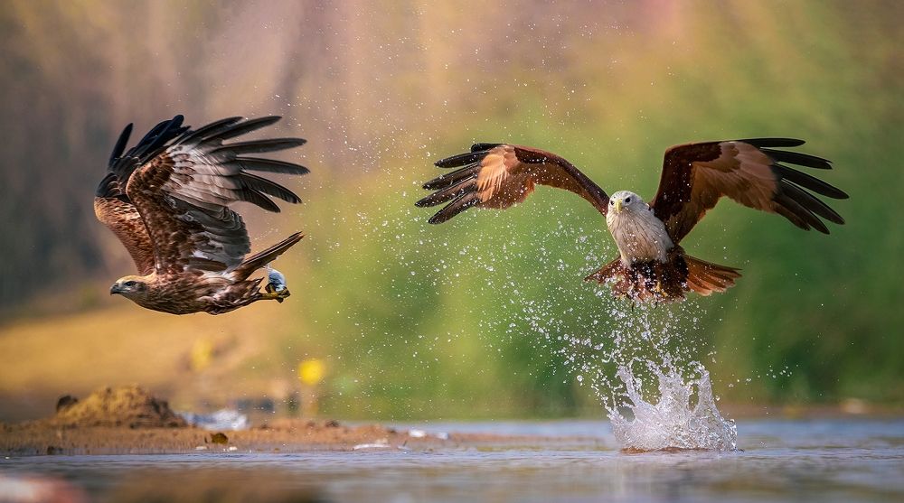 Photograph by Arnab Roy