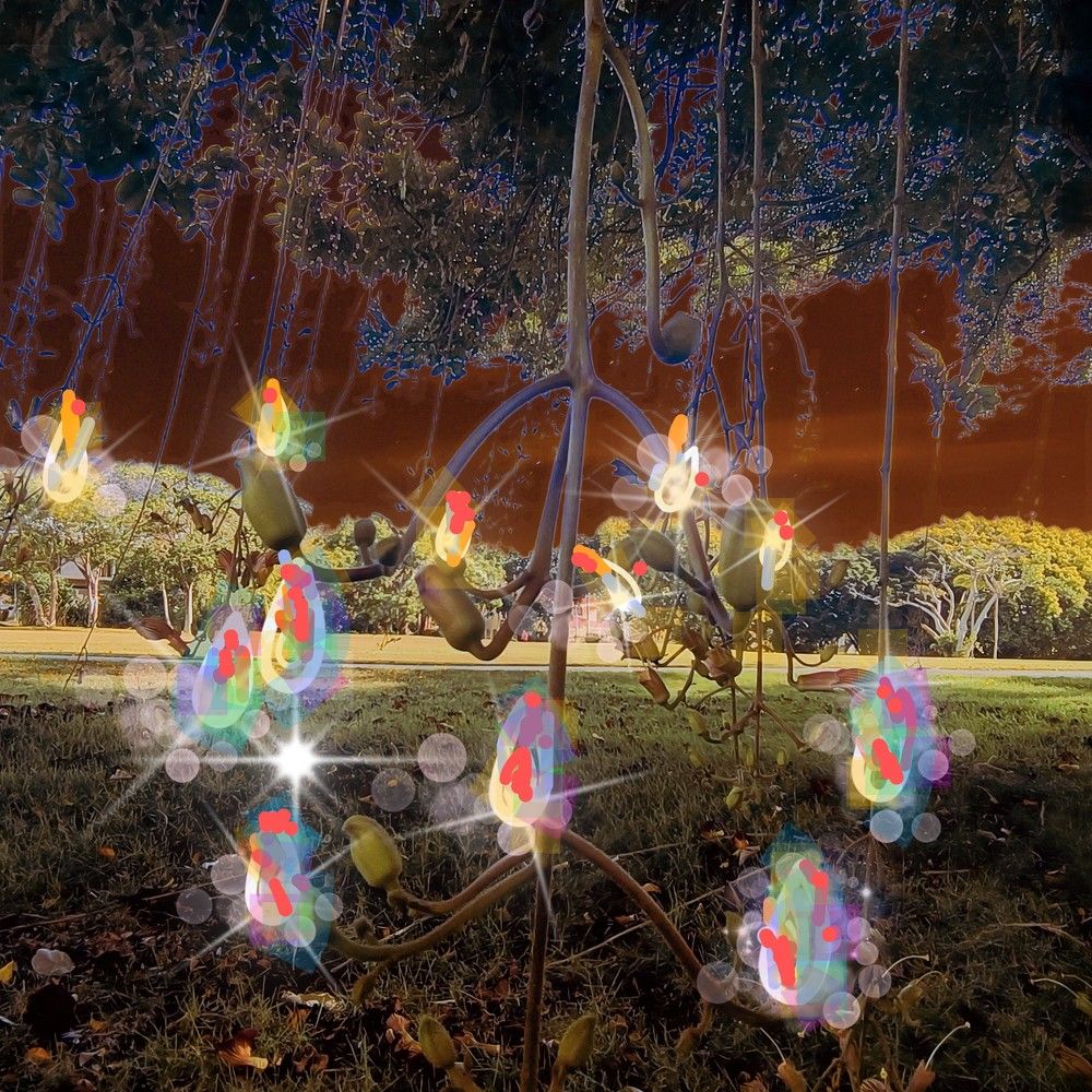 Photograph by Baiba Mennika Paegle