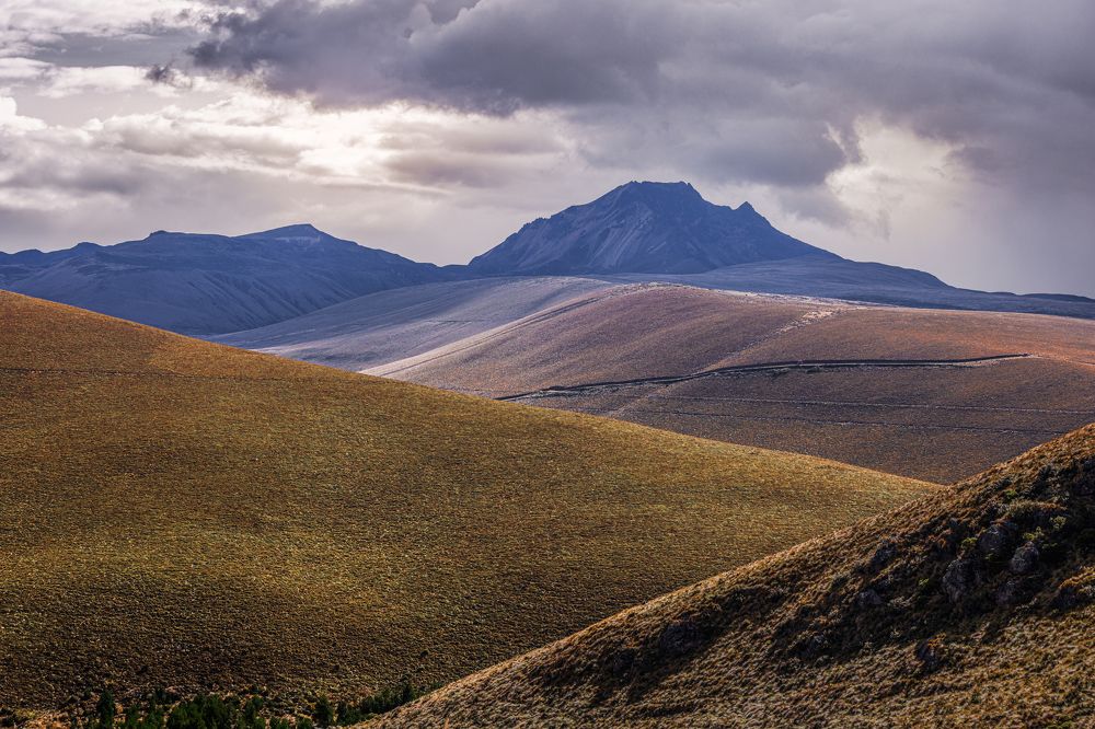 Photograph by Marco Vinicio Garzón Maya