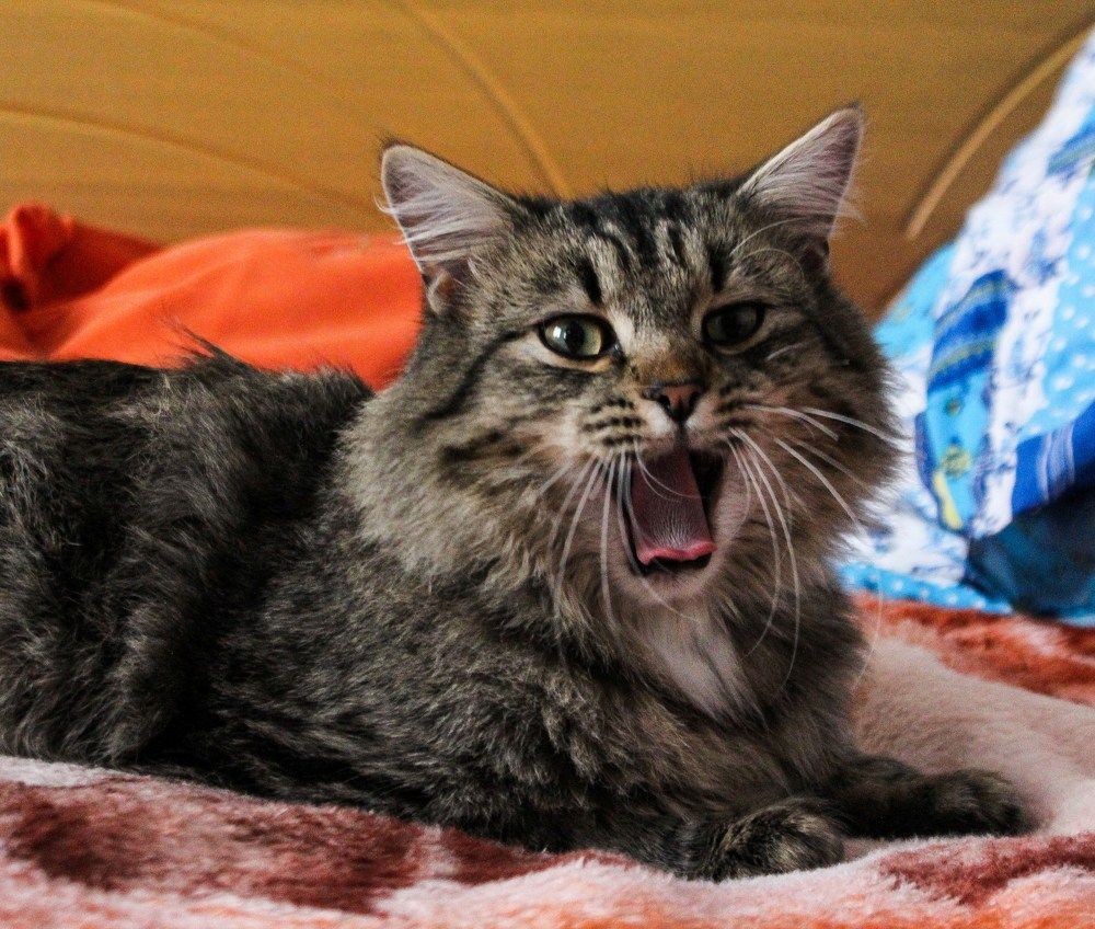 Photograph by Оксана Подъельская