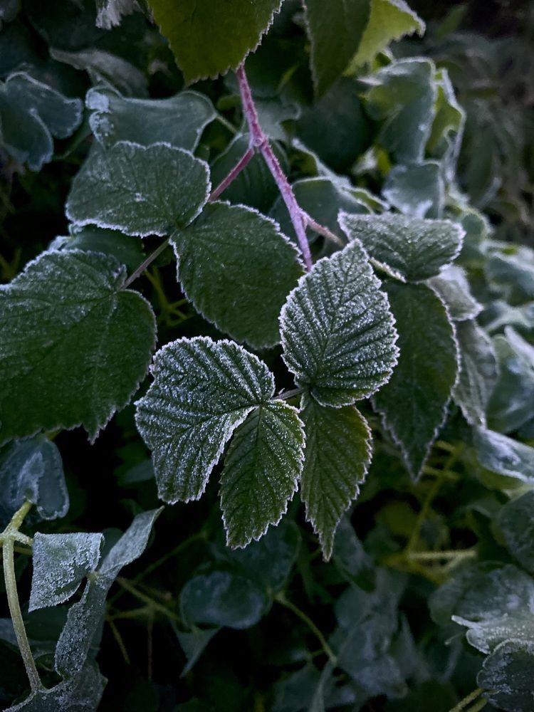 Photograph by Наталья Перерва