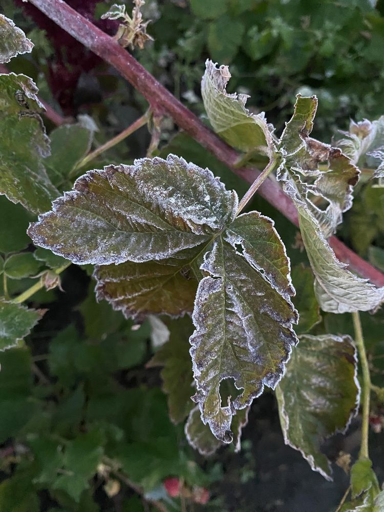 Photograph by Наталья Перерва