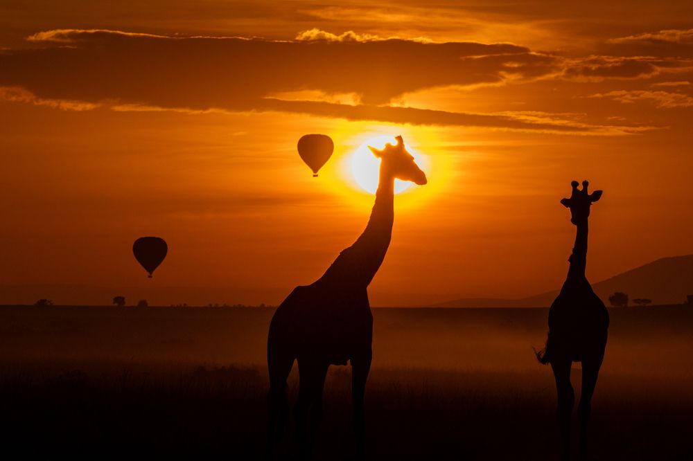 Photograph by Sai Kiran Bhagavatula