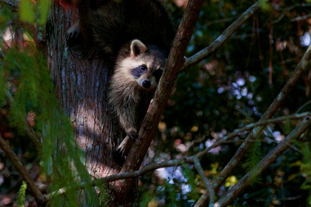 Фотография автора Anton Vorgin