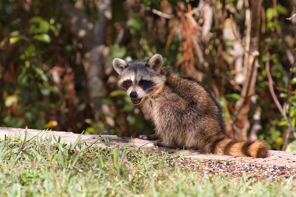 Фотография автора Anton Vorgin