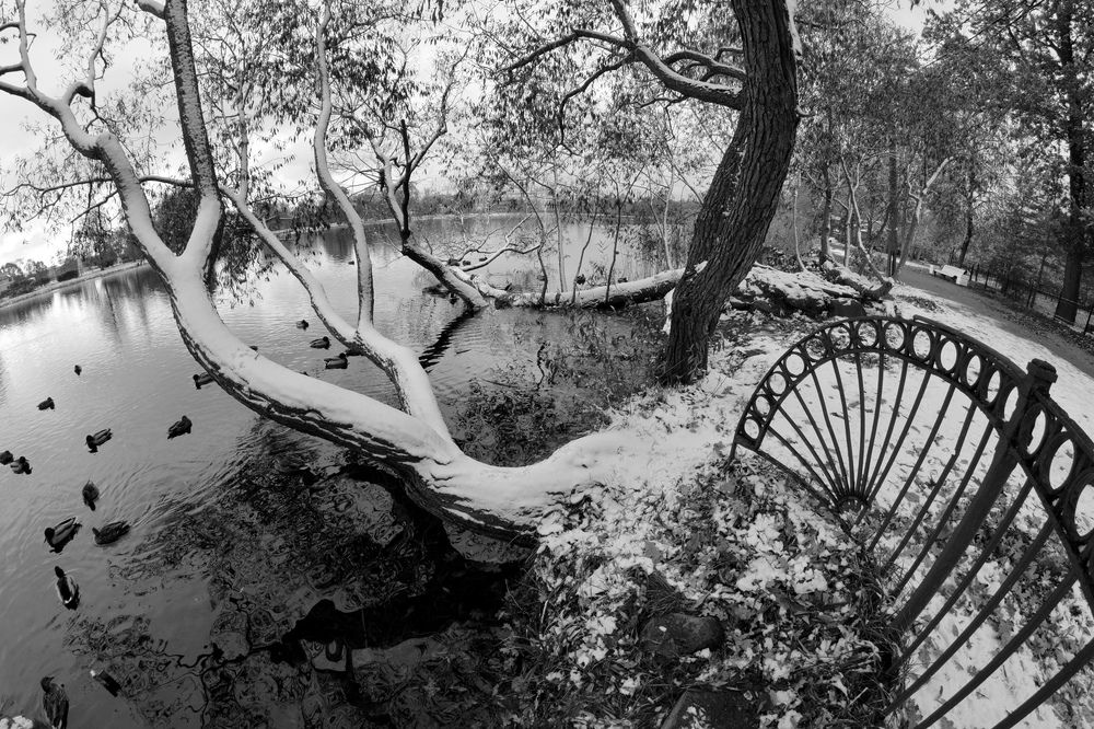 Photograph by Николай Кувшинов