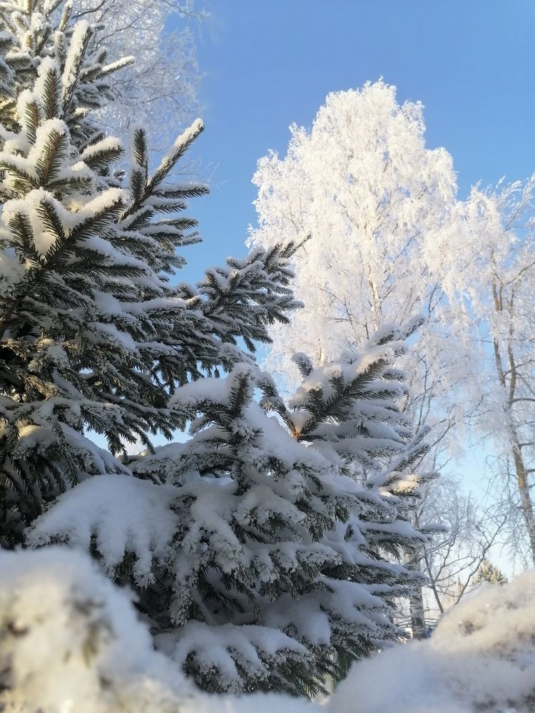 Photograph by Татьяна Бешенкина