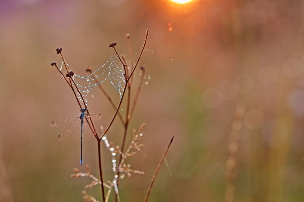 Photograph by Олег Резенов