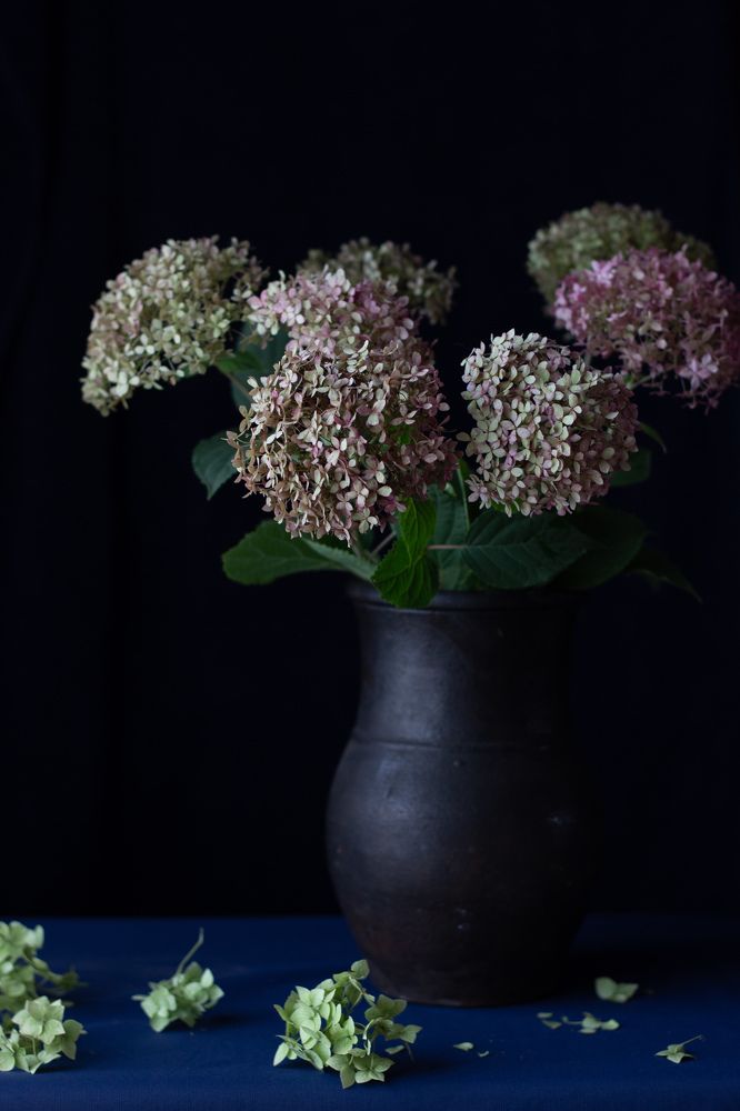 Photograph by Oxana Ryabtseva