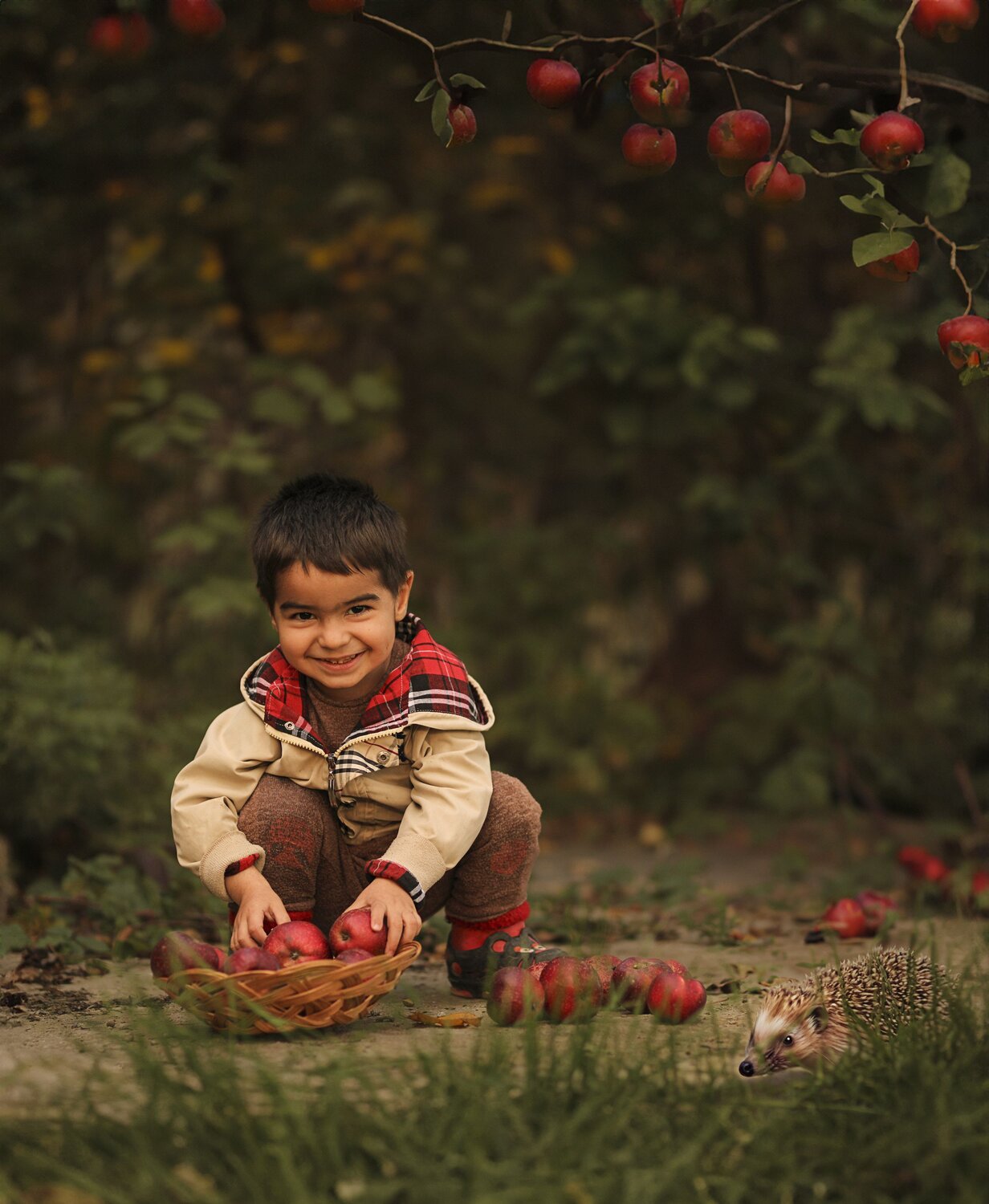 Photo #10344543