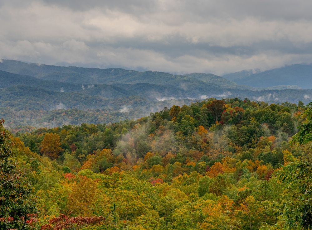 Фотография автора Anton Vorgin