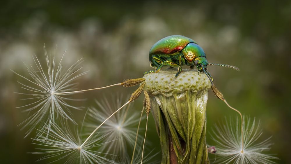 Photograph by Людмила Железнова