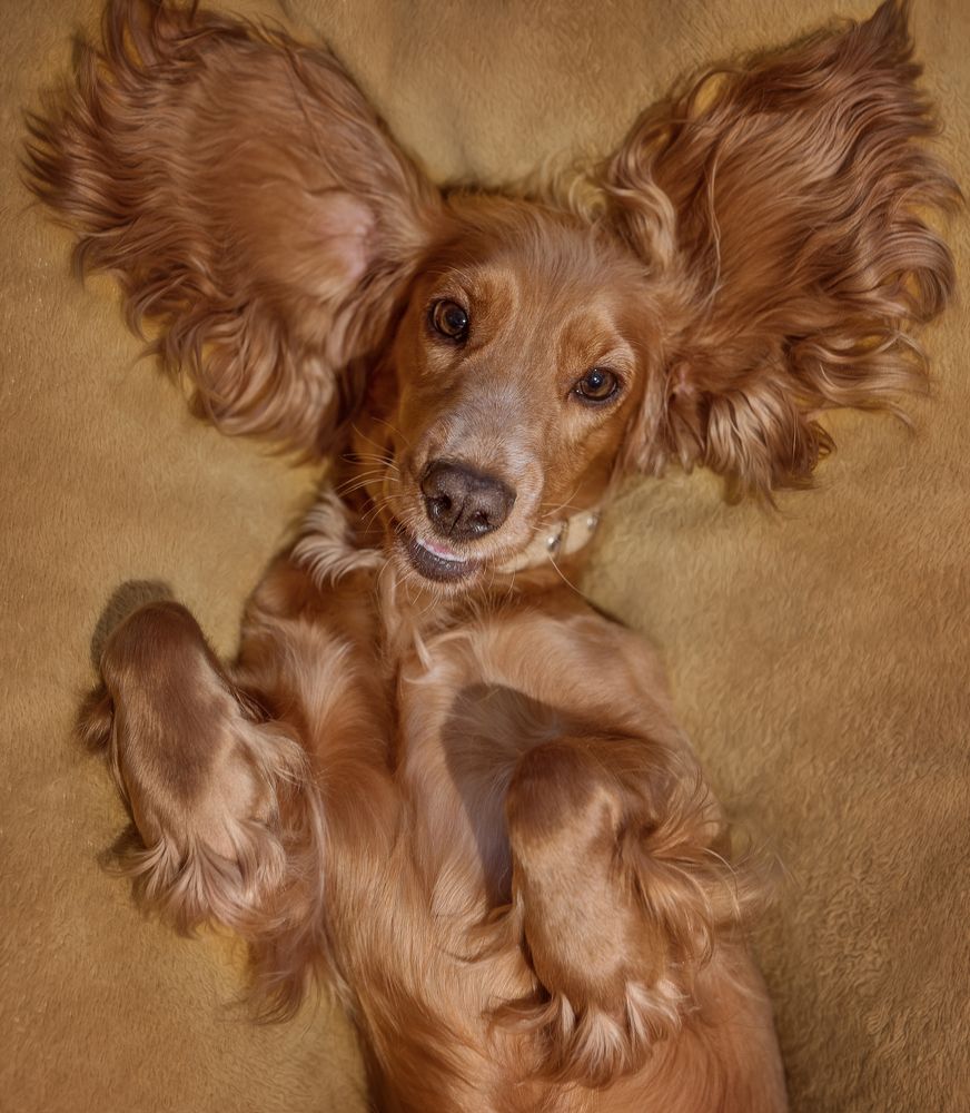 хорошее настроение