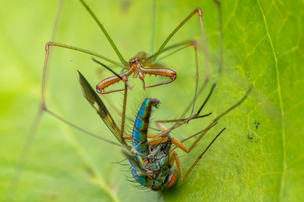 Photograph by Loo kok hua Loo