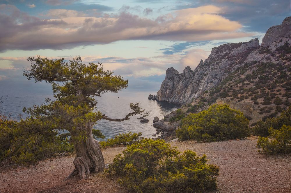 Photograph by Костенко Александр