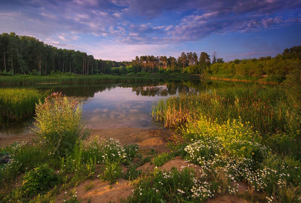 Photograph by Чичкин Валерий