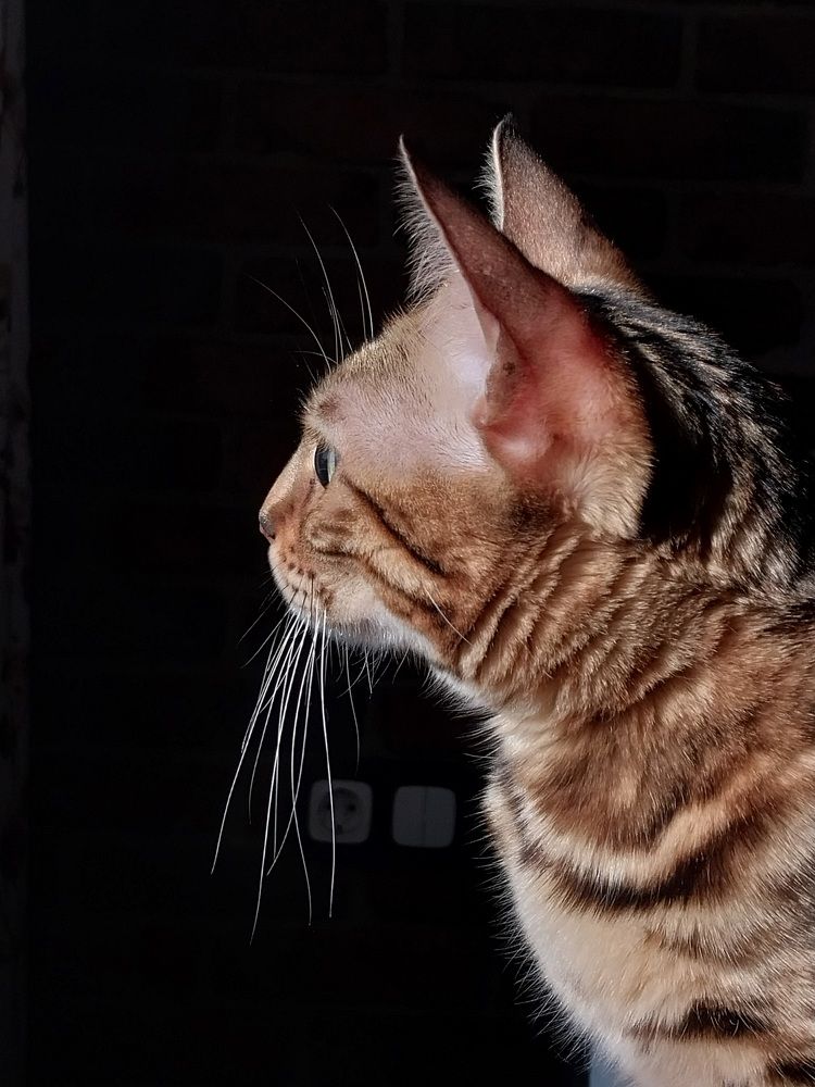 Photograph by Юлия Фирман