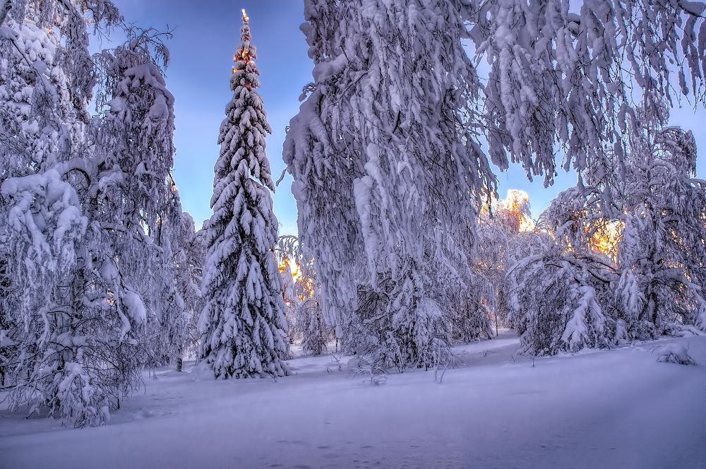 Photograph by Vladim Bormotov