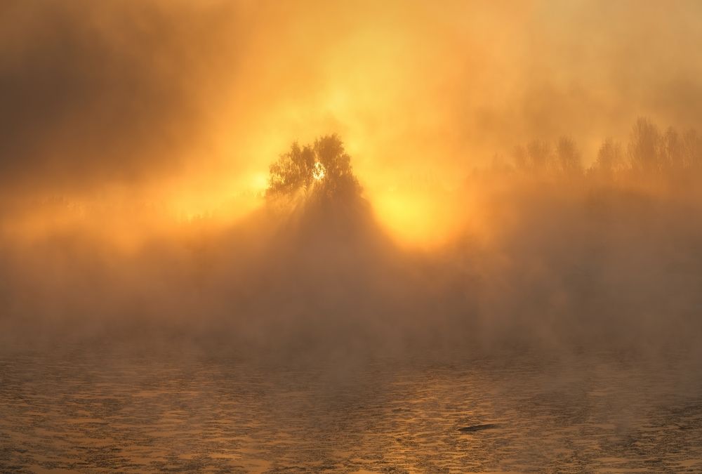 Photograph by Roman Dmitriev