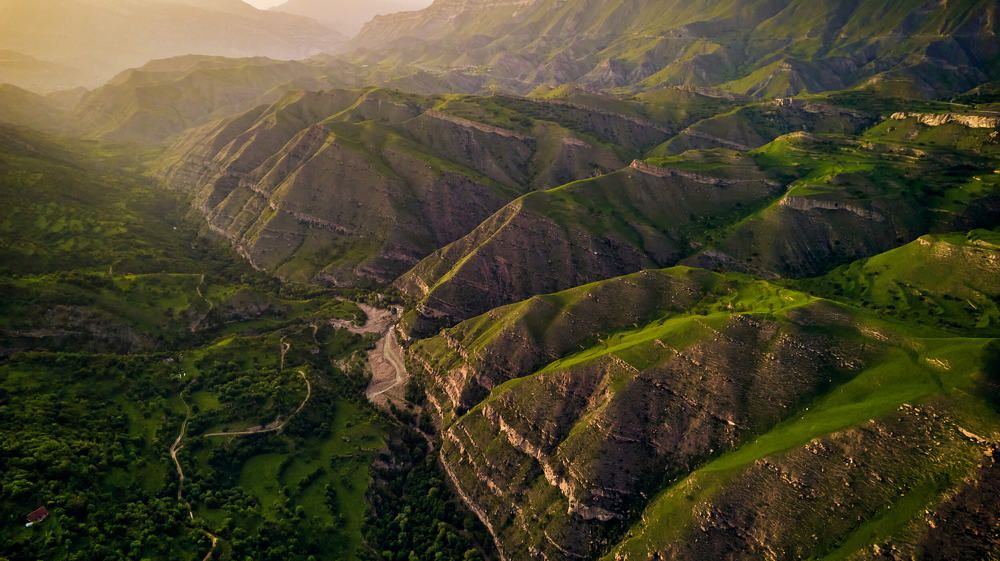 Фотография автора Totoro D