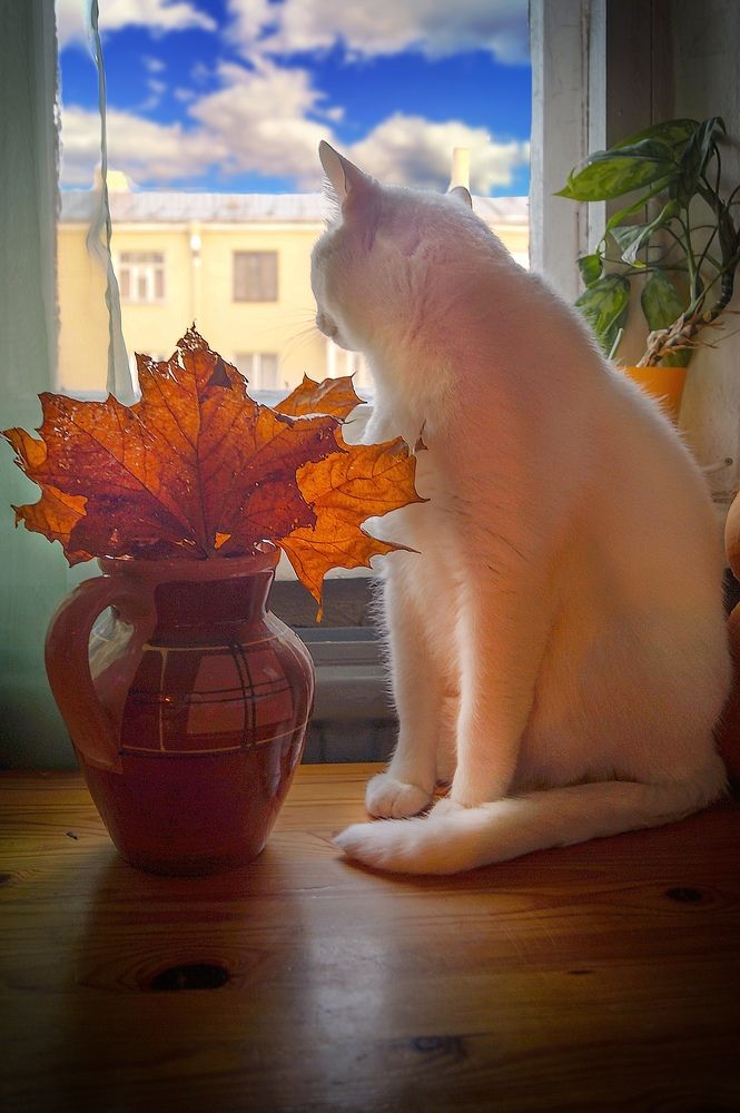 Фотография автора Юрий Цыркунов