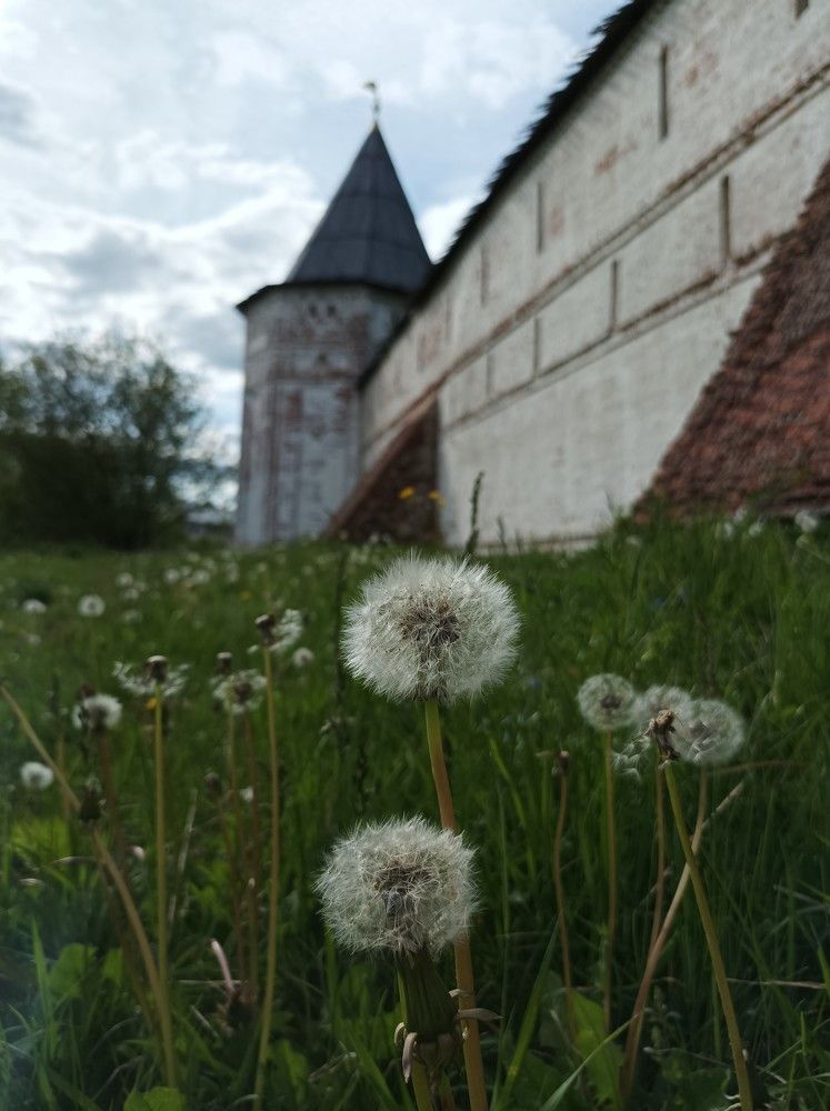 Photograph by Марина