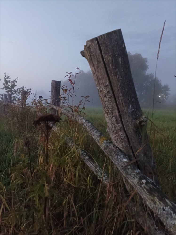 Photograph by Марина