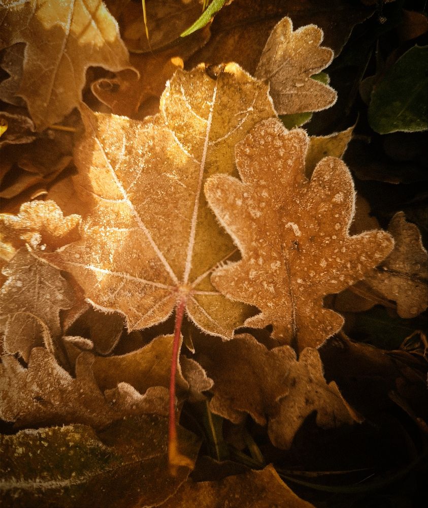 Photograph by Лариса Абрамова