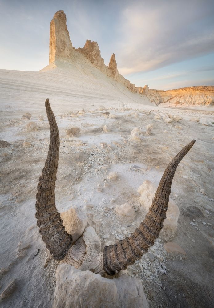 Photograph by Василий Яковлев