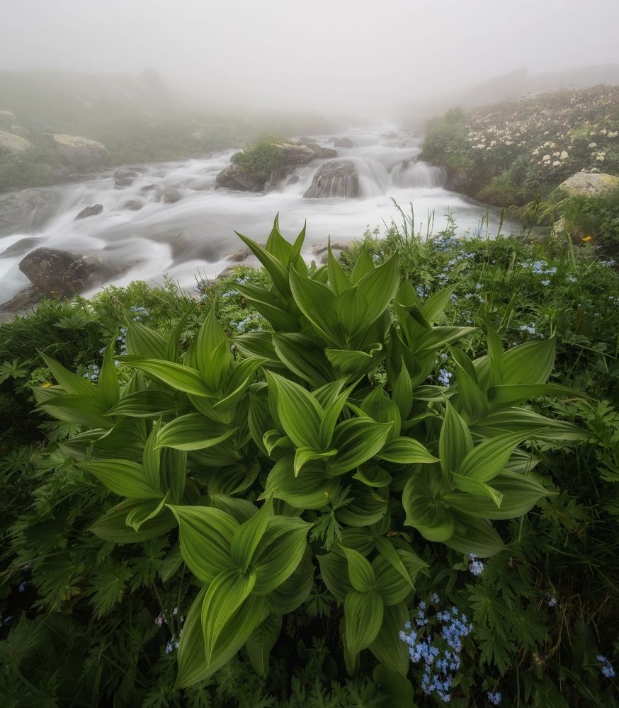 Photograph by Василий Яковлев