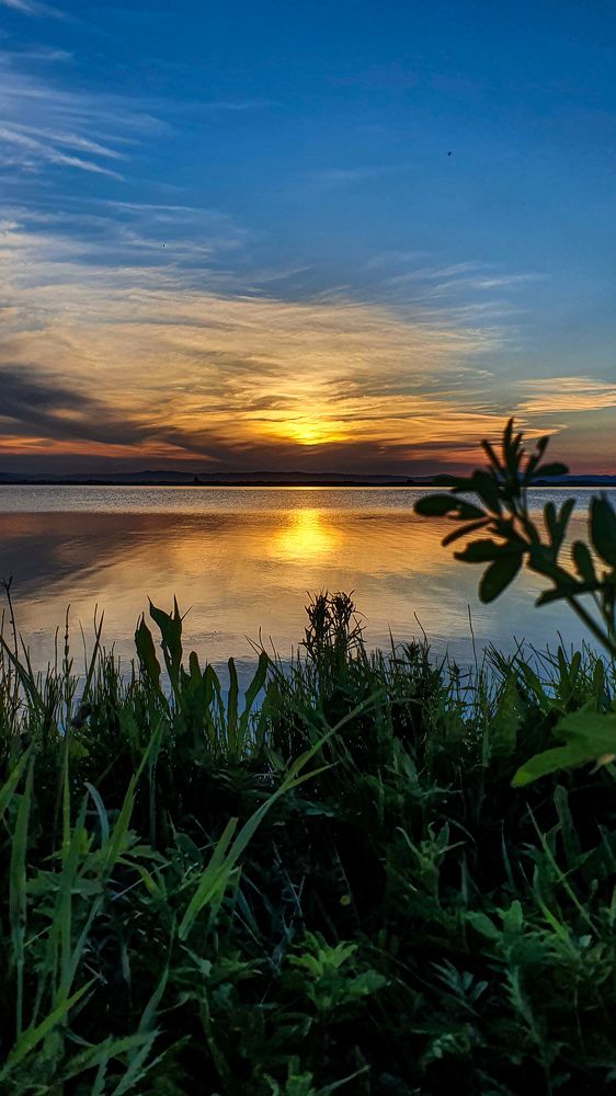 Photograph by Дарья Целуйко