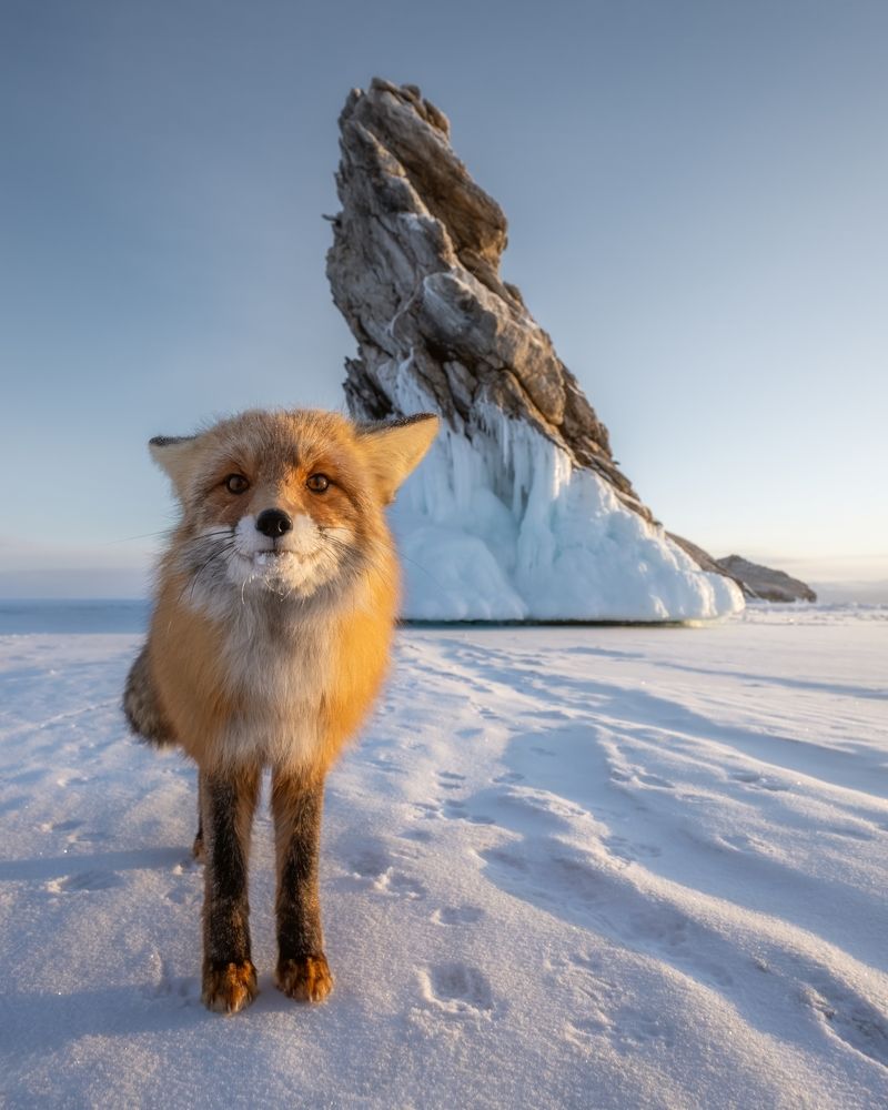 Photograph by Василий Яковлев