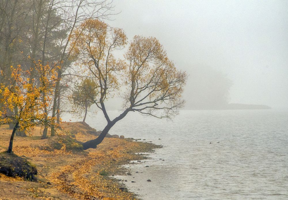 Photograph by Артем Филипеня