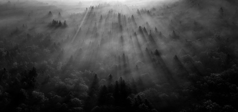 Photograph by Jurij Pelc