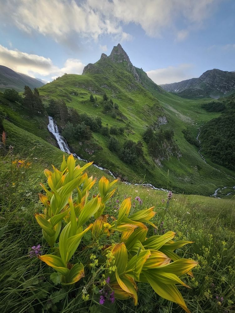 Photograph by Василий Яковлев