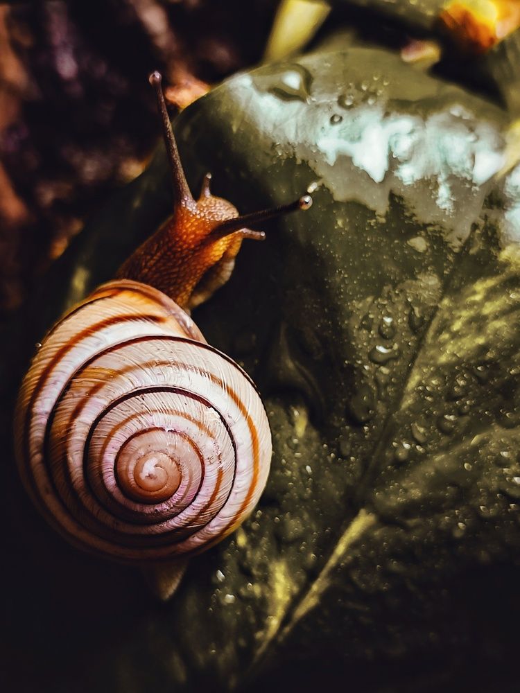 Photograph by Юлия Карпова