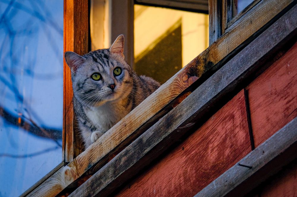 Photograph by Ольга Тюрина