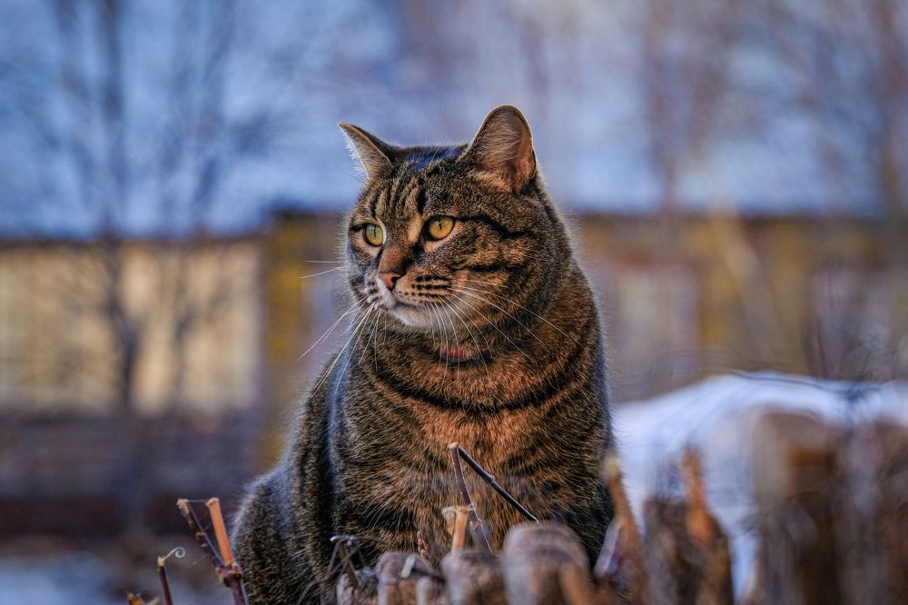 Photograph by Ольга Тюрина