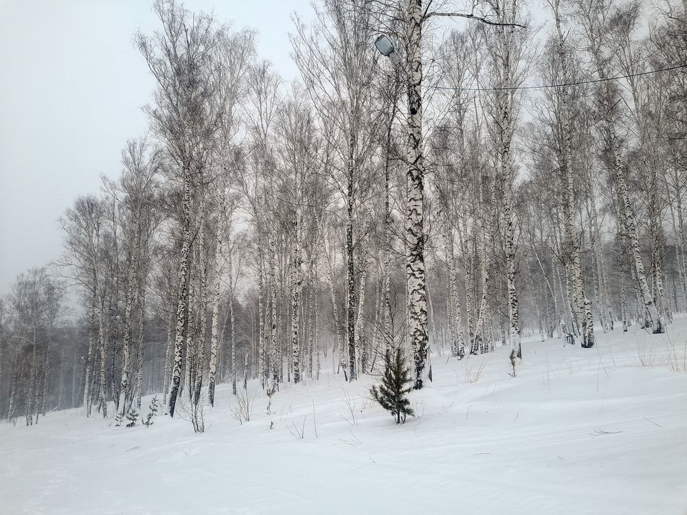 Photograph by Станислав Карнаухов