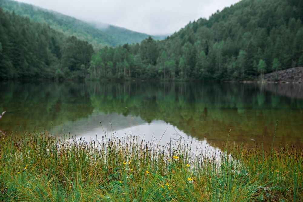 Photograph by Irina Luidinshina