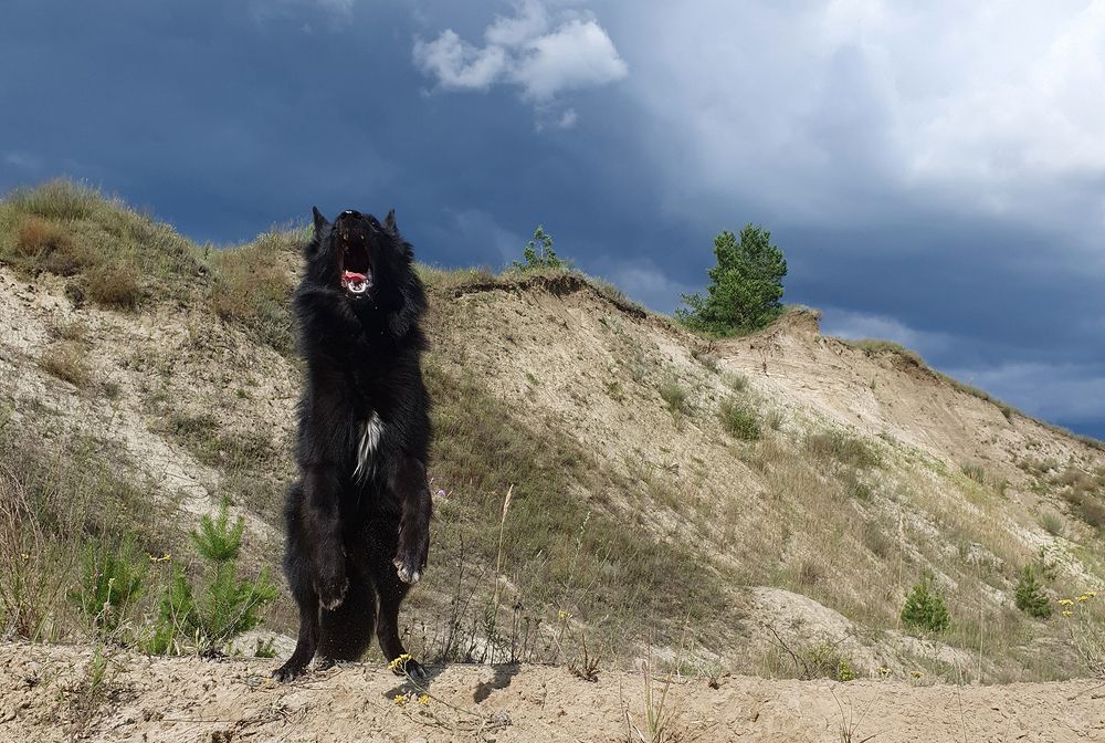 Фотография автора Надежда Лисицына