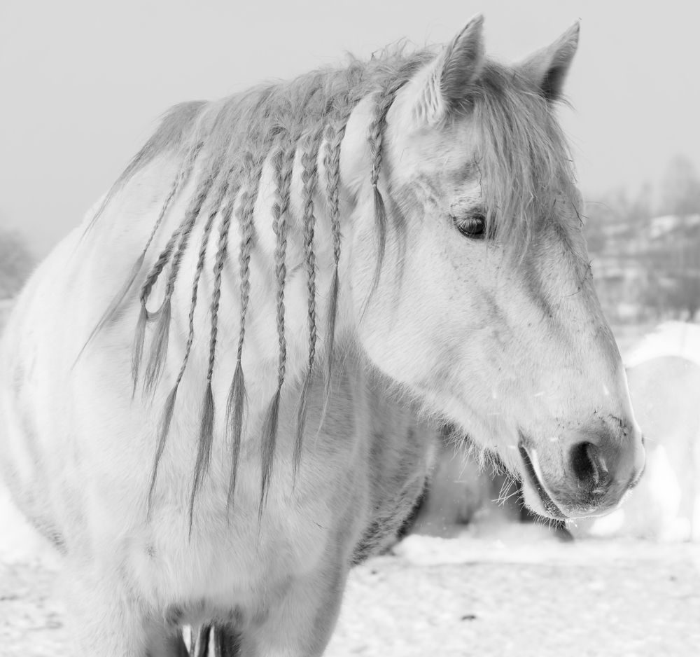 Photograph by Irina Luidinshina