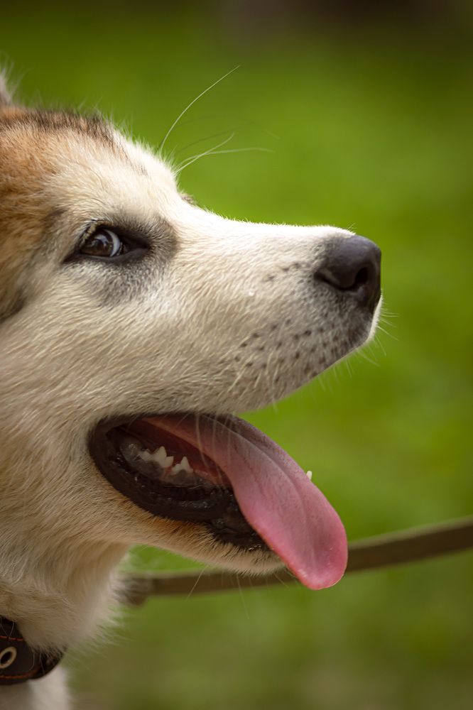 Photograph by Анастасия Белякова